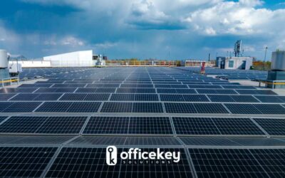 Fotovoltaico per Aziende: Quanto Puoi Risparmiare?